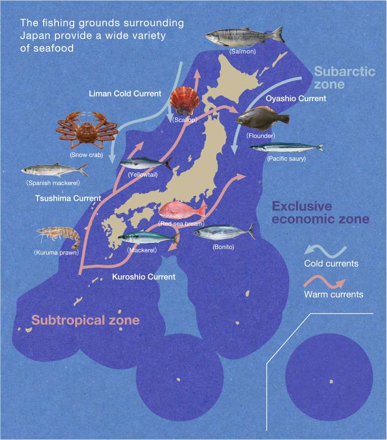 Variety Our values Japan Aquatic Products Export Council